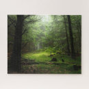 Buscar musgo puzzles Bosque