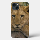 Buscar león ipad fundas Panthera leo