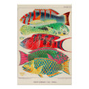 Buscar barreras posters Ilustracion