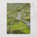 Buscar musgo postales Irlanda