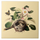 Buscar manzana azulejos Flor