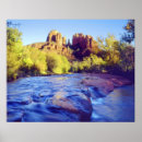 Buscar roble posters Color