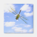Buscar darner Naturaleza