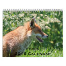 Buscar zorro rojo calendarios Vida salvaje