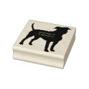 Buscar amstaff postales Cachorro