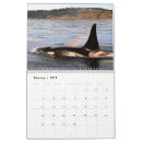 Buscar ballenas calendarios Humpback