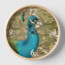Buscar peacock relojes de pared Azul