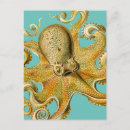 Buscar pulpo postales Ilustracion