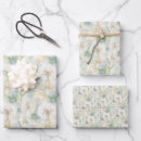 Buscar león papel de regalo Para todos