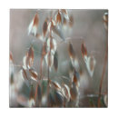 Buscar color plano azulejos Día