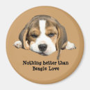 Buscar beagles imanes Perrito