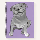 Buscar pitbull oficina escuela Pozo