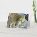 Buscar patricks foto tarjetas Divertido