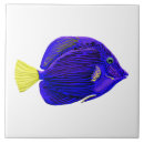 Buscar tango azulejos Elegante