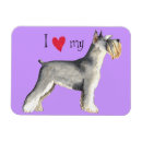 Buscar schnauzer imanes Aterrador