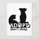 Buscar bienestar animal postales Gato