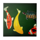 Buscar tortuga verde azulejos Naranja