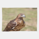 Buscar halcones paños de cocina Animal