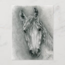 Buscar el greco postales Retrato