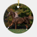 Buscar caballo árabe adornos Funcionamiento