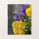 Buscar petunia Fotografía
