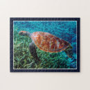 Buscar criatura puzzles Vida marina
