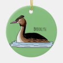 Buscar pájaro del dibujo animado adornos Para todos