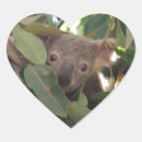 Buscar marsupial Mamá
