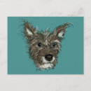 Buscar caminantes postales Amigos