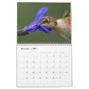 Buscar hummingbird calendarios Naturaleza