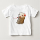 Buscar ferret Adorable
