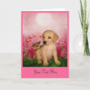 Buscar perros fotograficas tarjetas Labrador