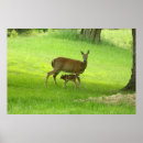 Buscar fawna fotografía Flauta