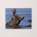 Buscar botswana puzzles Exterior