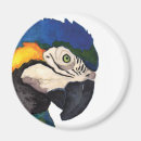 Buscar macaw imanes Loro