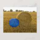 Buscar postkarte Landschaft