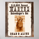 Buscar gato schrodinger posters Ciencia