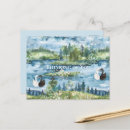 Buscar cisne azul postales Cisnes