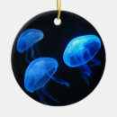 Buscar medusas adornos Fondo