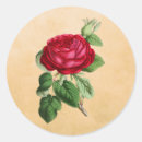 Buscar apariencia vintage postales Ilustracion