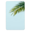 Buscar palmera imanes Cielo