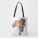 Buscar húngaro bolsos Lindo