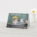 Buscar bañera tarjetas Gatito