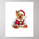 Buscar yorkshire terrier dog posters Cachorro