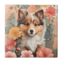 Buscar perro de ovejas azulejos Cachorro