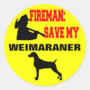 Buscar del weimaraner pegatinas Weimaraners