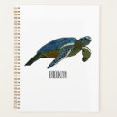 Buscar tortuga agendas Mar