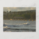 Buscar hawaii postales Palmera