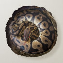 Buscar boa cojines Reptil
