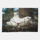 Buscar palomas blancas paños de cocina Pájaro
